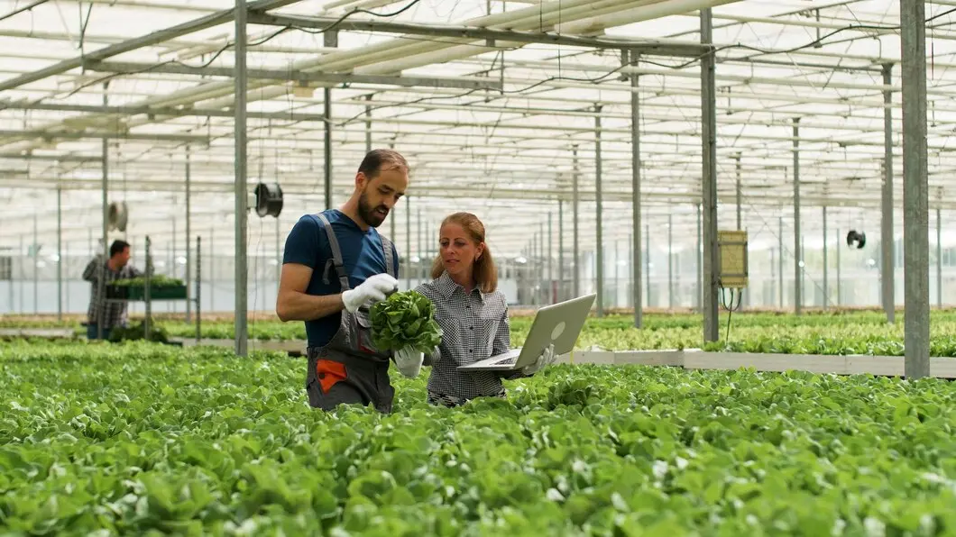 Certificação de crédito agrícola ANEPS: especialização que gera confiança no agronegócio